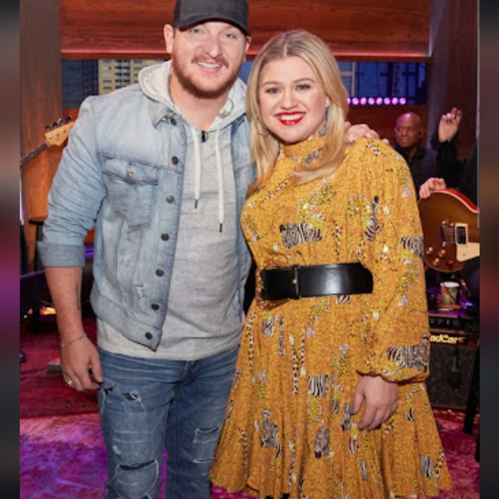 NWOT RHODE ELLA Tiger Dress comes with belt